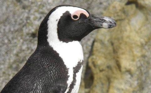 �P(gu��n)�����Z�����ķ���