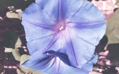 �������^����ӛ���x