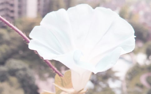 ��ϲ�g����������