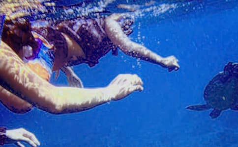 關(guān)于潛水的三年級作文