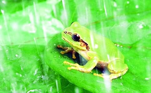 ����200������