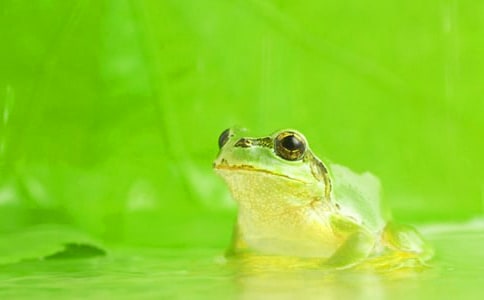 ���������Ӹ����L(zh��ng)���x���