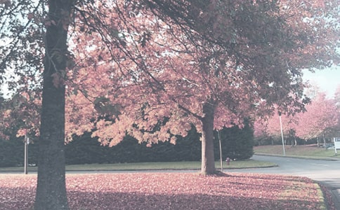 �W(xu��)ǰ���＾����I(l��ng)��̌W(xu��)Ӌ(j��)�������x5ƪ��