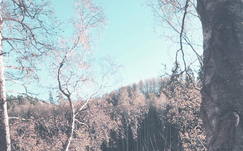 �＾�̌W(xu��)����Ӌ(j��)��(15ƪ)