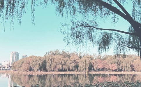 �＾���{܇���R