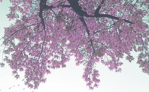 �ЌW(xu��)�＾�̌W(xu��)����Ӌ(j��)�� 