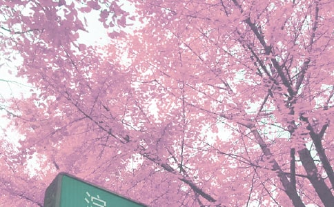 �＾�l(w��i)����������Ӌ��