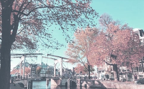 �а��＾�̌W(xu��)Ӌ(j��)��