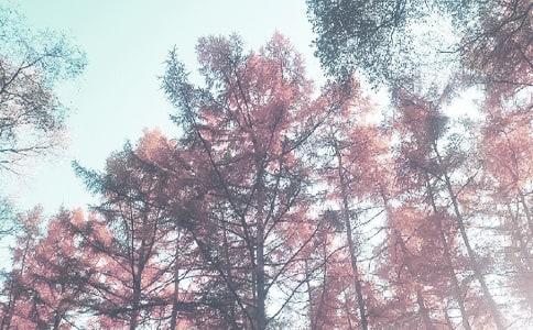 С�W(xu��)�＾�̌W(xu��)Ӌ(j��)����ƪ