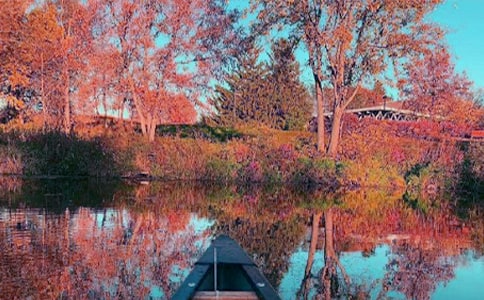 �P(gu��n)��������ӛ������ƪ