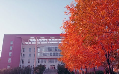 �������ZС�W����������