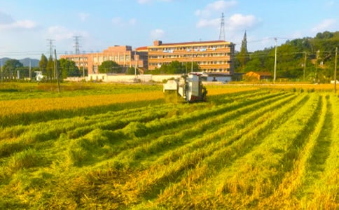 �P(gu��n)���������ģ����]��