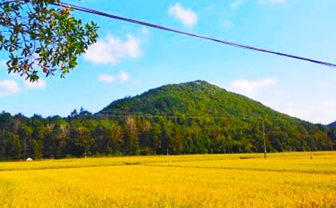 秋收的句子短句唯美 秋天豐收經(jīng)典的句子