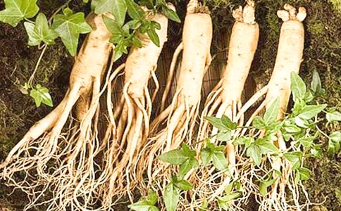 個人參加學習心得體會