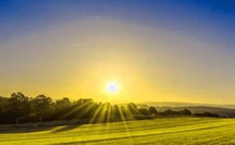 �P���ճ�������