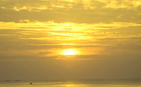 �P(gu��n)���ճ�����15ƪ�����x��