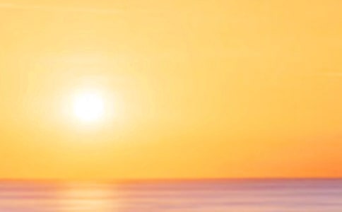 ����ľ�������