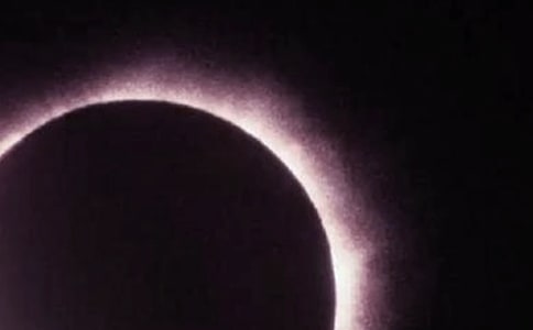 �^��ʳ��������