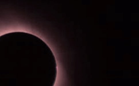 看日食作文600字范文