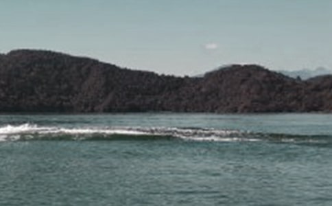 �_������̶������