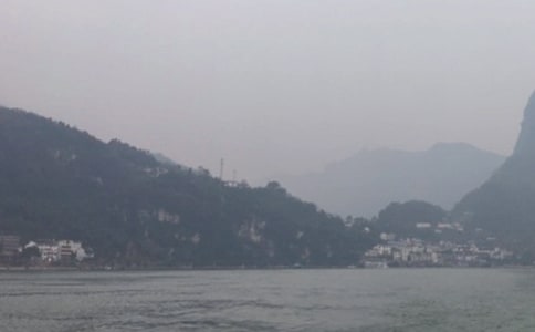 �����{�������