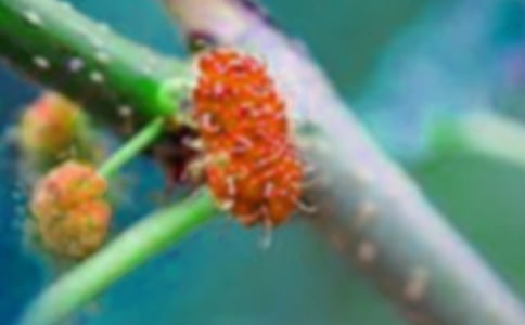 ժɣ��С�W(xu��)һ�꼉����