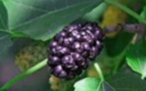 ɣ���@ժɣ����������