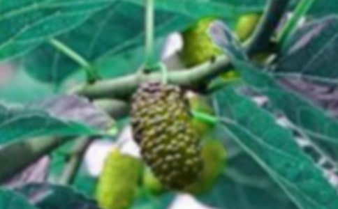 ժɣ������500��