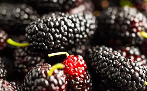 摘桑葚作文400字(精選55篇)