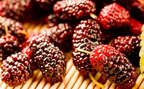 ժɣ������