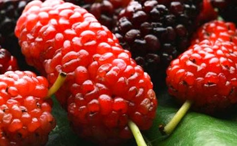 �P(gu��n)��ɣ�ص�����