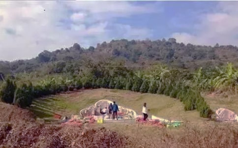 ��Ĺ����