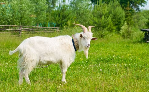 �ɐ۵�ɽ������400��