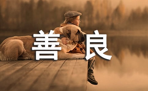 善良的魅力優(yōu)秀作文900字(精選60篇)