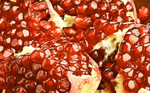 觀察石榴花作文400字(精選10篇)