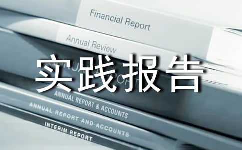 暑期實(shí)踐報(bào)告3000字(電信人員)
