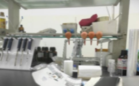 ����ҹ����������Y