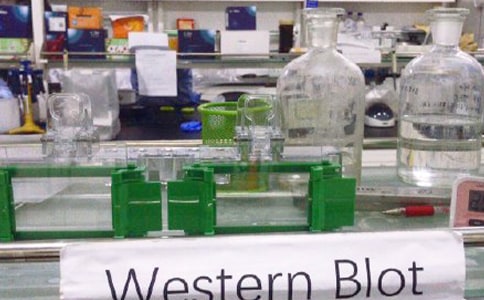 ��(sh��)�(y��n)�ҕ�(hu��)�h�o(j��)Ҫ����