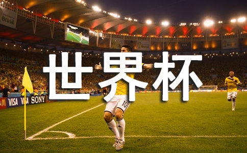 �P(gu��n)�����籭���������