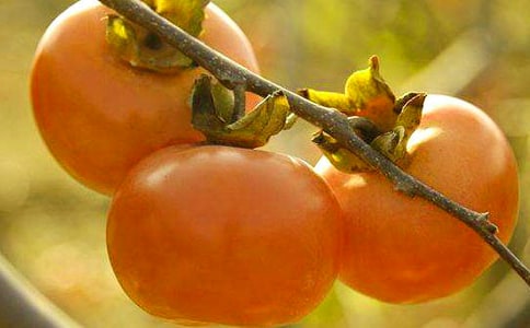 ��������Ә����ģ����x25ƪ��