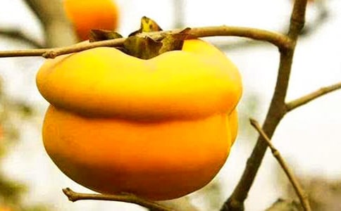 ���L(f��ng)�ùô��t�����ӣ�С���Ӕ�(sh��)��(sh��)�ϵ�����