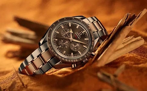 未來的手表作文