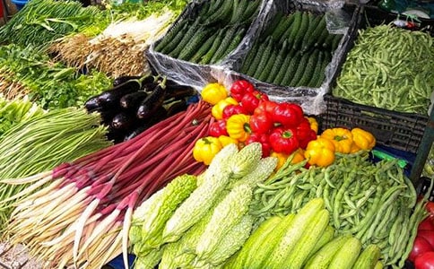 �߲ˠI�N�������ģ����x12ƪ��