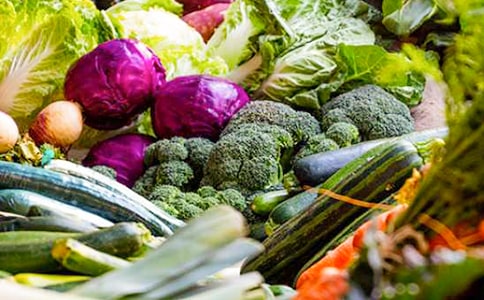 蔬菜活動方案(15篇)