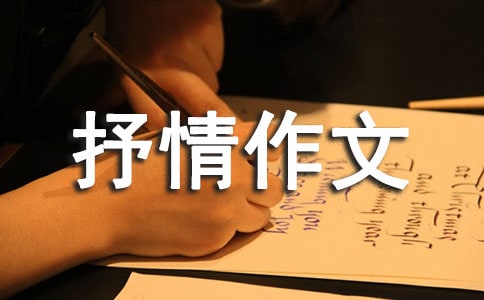 ��������-��������700��