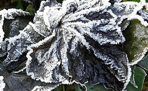 ƽ�h�h��45��˪����׃��Ҏ(gu��)��