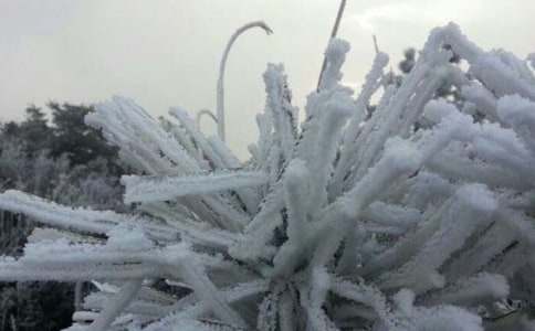 ÷�h�͜�˪�����A(y��)�󷽷��о�