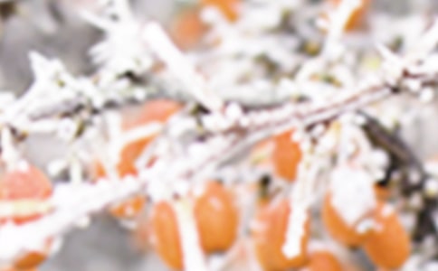 博州農(nóng)區(qū)1958-2007年終霜凍的變化趨勢