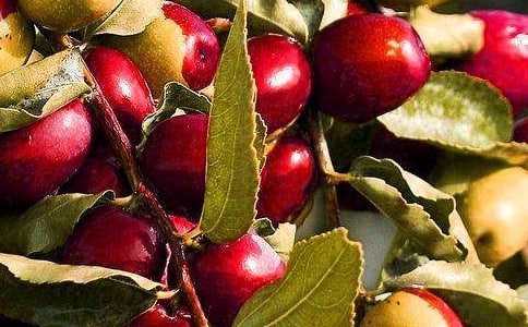 �ƌW��������ʲôˮ�����L��