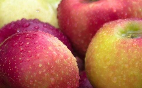 小班游戲《秋天的水果》說(shuō)課稿